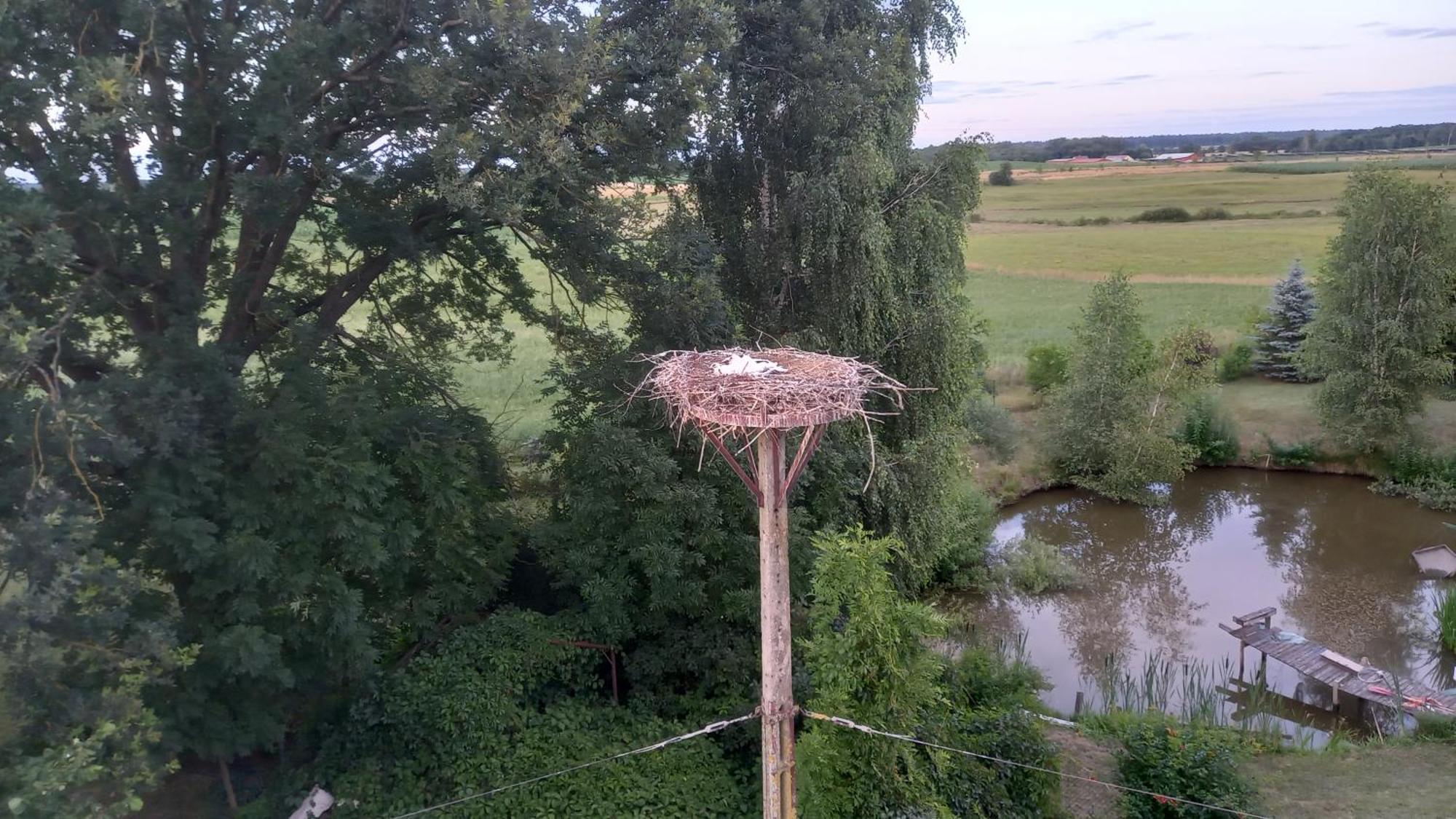 Dom Do Wynajecia Bocianie Gniazdo Διαμέρισμα Augustów Εξωτερικό φωτογραφία